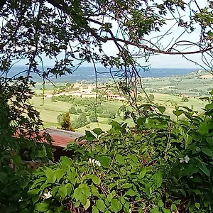  Appartamento Casa Morelli Italia